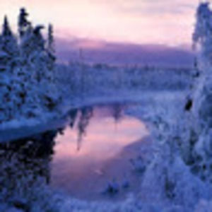 Meet your Posher, Anisha